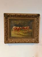 fedor van Kregten 2 kalveren, Ophalen