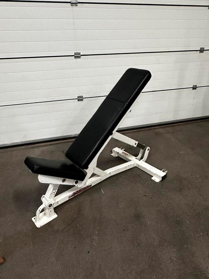 Life Fitness Verstelbare Fitness Bankje, Sport en Fitness, Fitnessmaterialen, Gebruikt, Fitnessbank, Ophalen