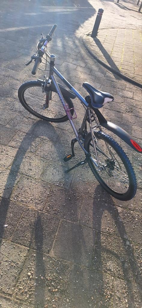 Roze meisjes mountainbike., Fietsen en Brommers, Fietsen | Meisjes, 26 inch of meer, Versnellingen, Ophalen