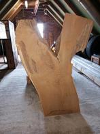 Gezaagde acaciastam - Ideaal voor salontafel of krukje, Gebruikt, Overige typen, Ophalen of Verzenden, 50 mm of meer