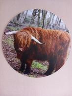 Muurcirkel Schotse Hooglander - Ø 90cm, Ophalen, Gebruikt