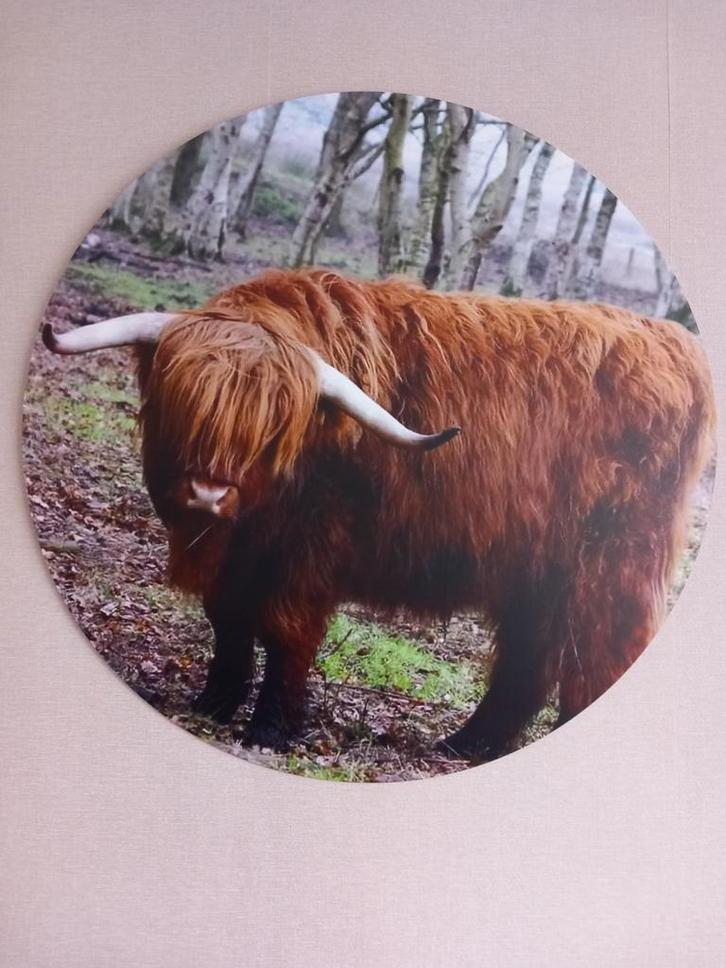 Muurcirkel Schotse Hooglander - Ø 90cm, Huis en Inrichting, Woonaccessoires | Wanddecoraties, Gebruikt, Ophalen