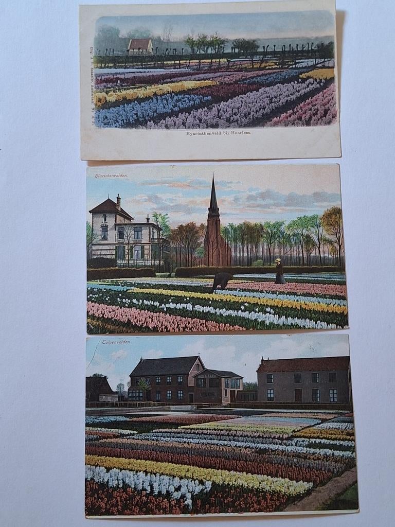 Bloembolvelden 1, Ophalen of Verzenden