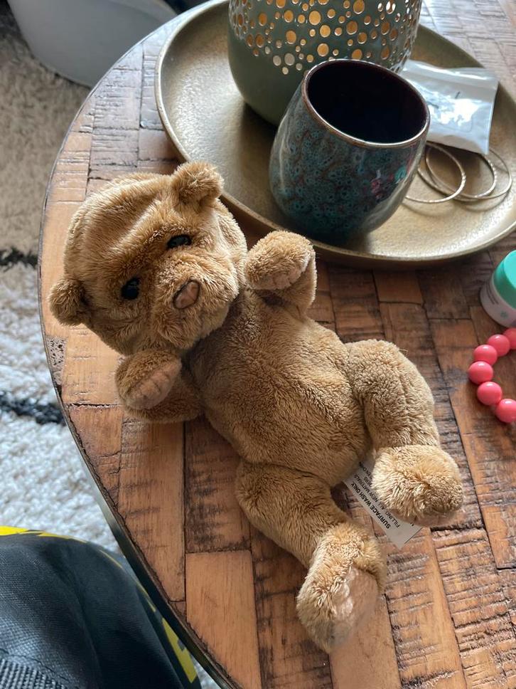 Fur Real, Kinderen en Baby's, Speelgoed | Knuffels en Pluche, Gebruikt, Beer, Ophalen of Verzenden