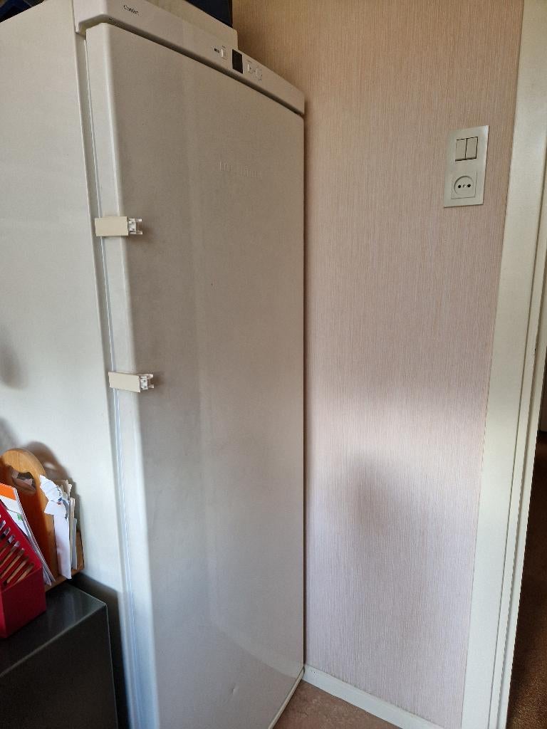 Liebherr diepvrieskast (Comfort Superfrost), Gebruikt, 160 cm of meer, Ophalen, Vrieskast