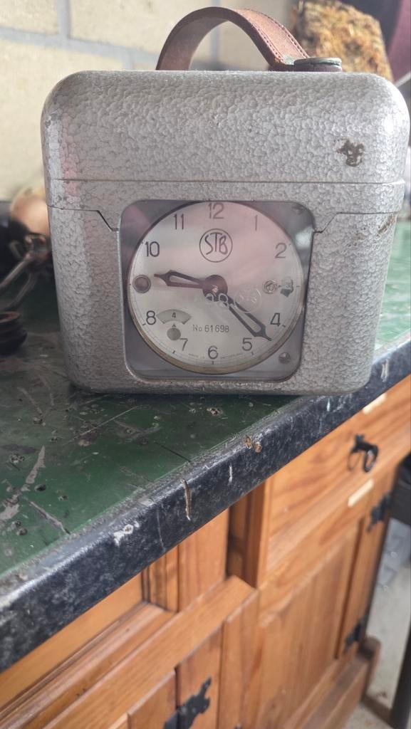 Oude duivenklok, Dieren en Toebehoren, Geslacht onbekend, Overige soorten