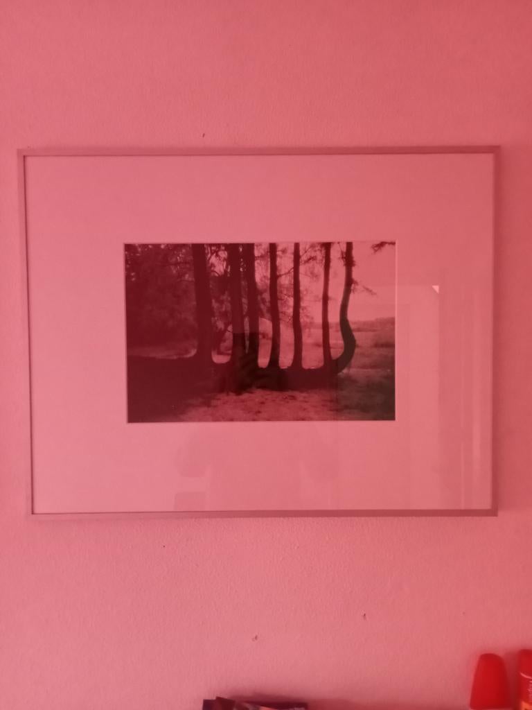 Janke de Vries, Seven Sisters, Ophalen