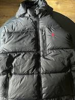 Ralph lauren jas zwart heren maat L, Kleding | Heren, Jassen | Winter, Ophalen of Verzenden, Nieuw, Maat 48/50 (M), Zwart