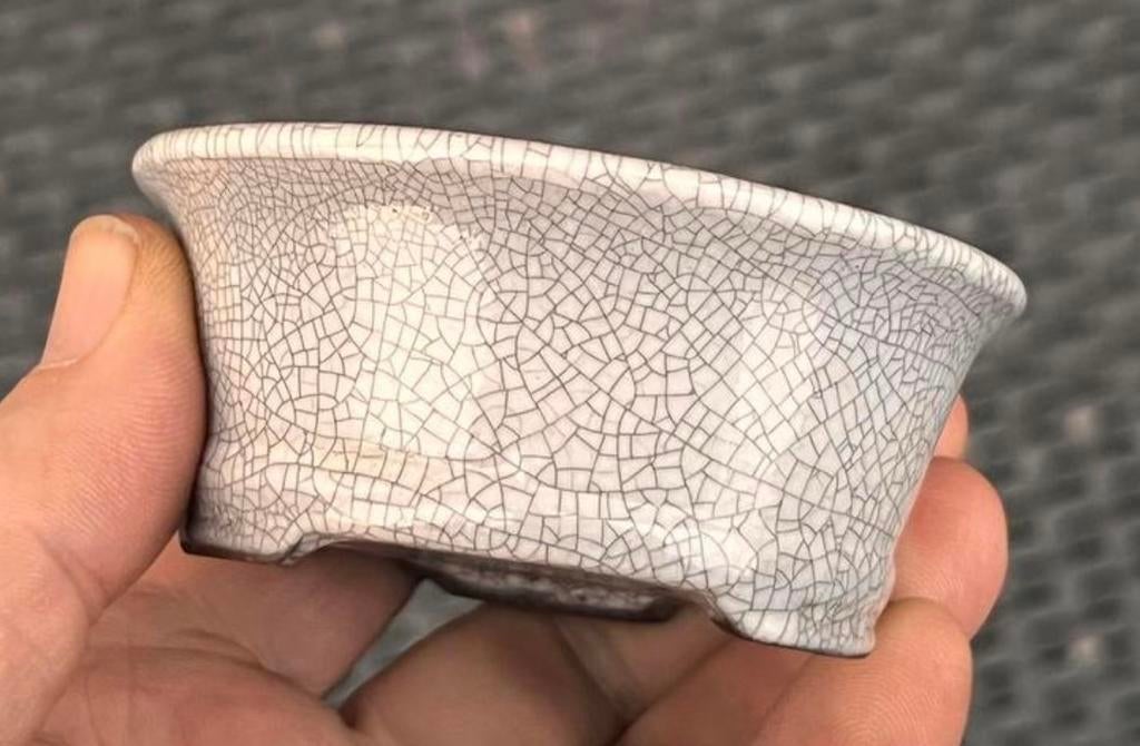 Bonsai pot rond crème geglazuurd craquelé effect 8,4x3,6, Rond, Ophalen of Verzenden, Zo goed als nieuw, Aardewerk