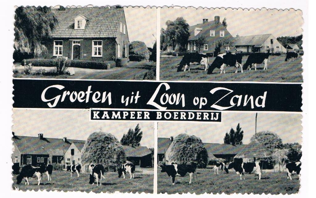 8 / LOON OP ZAND : Groeten uit kampeerboerderij ( koe), Verzamelen, Ansichtkaarten | Nederland, Verzenden, 1960 tot 1980, Gelopen