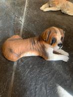 Liggende Sint Bernard beeldje van steen, Ophalen of Verzenden, Gebruikt, Hond of Kat, Beeldje of Figuurtje