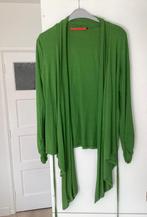 Apart vest steps basick maat L amper gedragen, Ophalen of Verzenden, Zo goed als nieuw, Maat 38/40 (M)