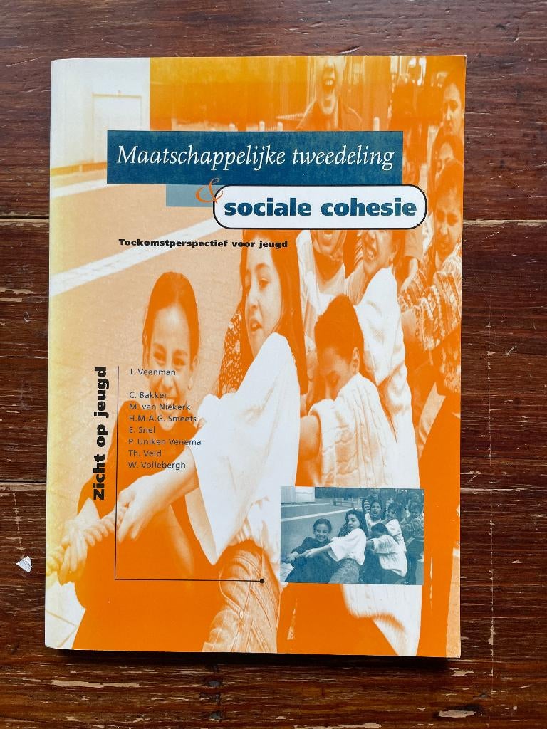 J Veenman Maatschappelijke tweedeling & sociale cohesie 1999, Maatschappij en Samenleving, Nieuw, Ophalen of Verzenden, Nederland