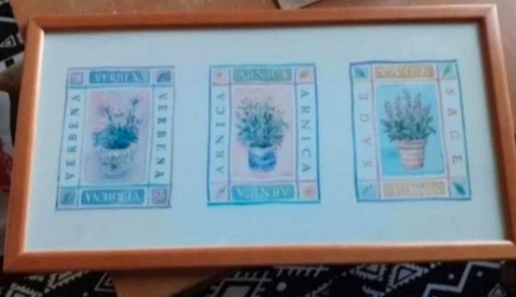 Ingelijste botanische print: Verbena, Arnica, Salie, Huis en Inrichting, Woonaccessoires | Schilderijen, Tekeningen en Foto's