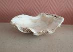Leuk model doopvondschelp, Antiek en Kunst, Ophalen of Verzenden