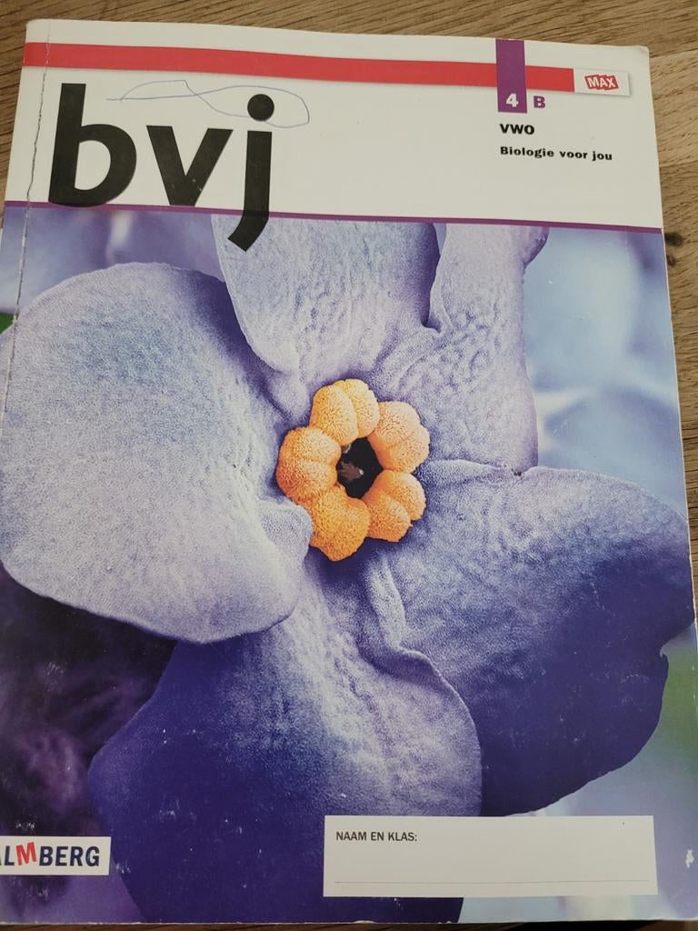 lob B, Ophalen of Verzenden, Gelezen, Overige niveaus, Nederlands