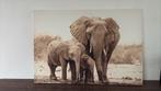 Bijna NIEUW groot canvasdoek olifanten, Ophalen, 75 tot 100 cm, 75 cm of meer, Print