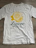 Tshirt nieuw maat M, Maat 38/40 (M), Wit, Nieuw, Ophalen of Verzenden