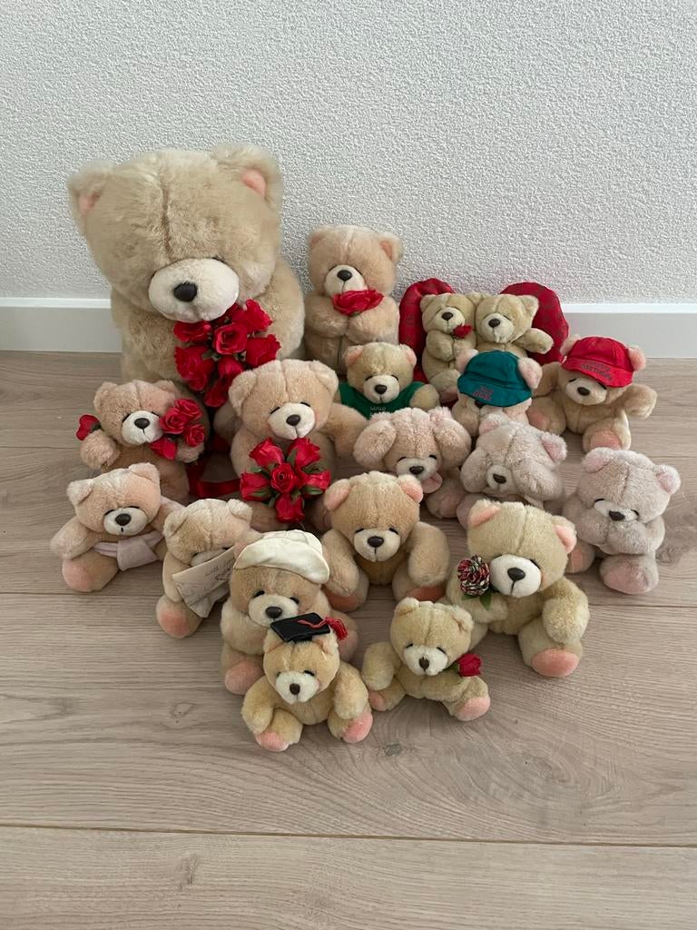 Grote verzameling Forever Friends beren, Verzamelen, Beren en Cherished Teddies, Ophalen, Gebruikt, Stoffen beer, Forever Friends