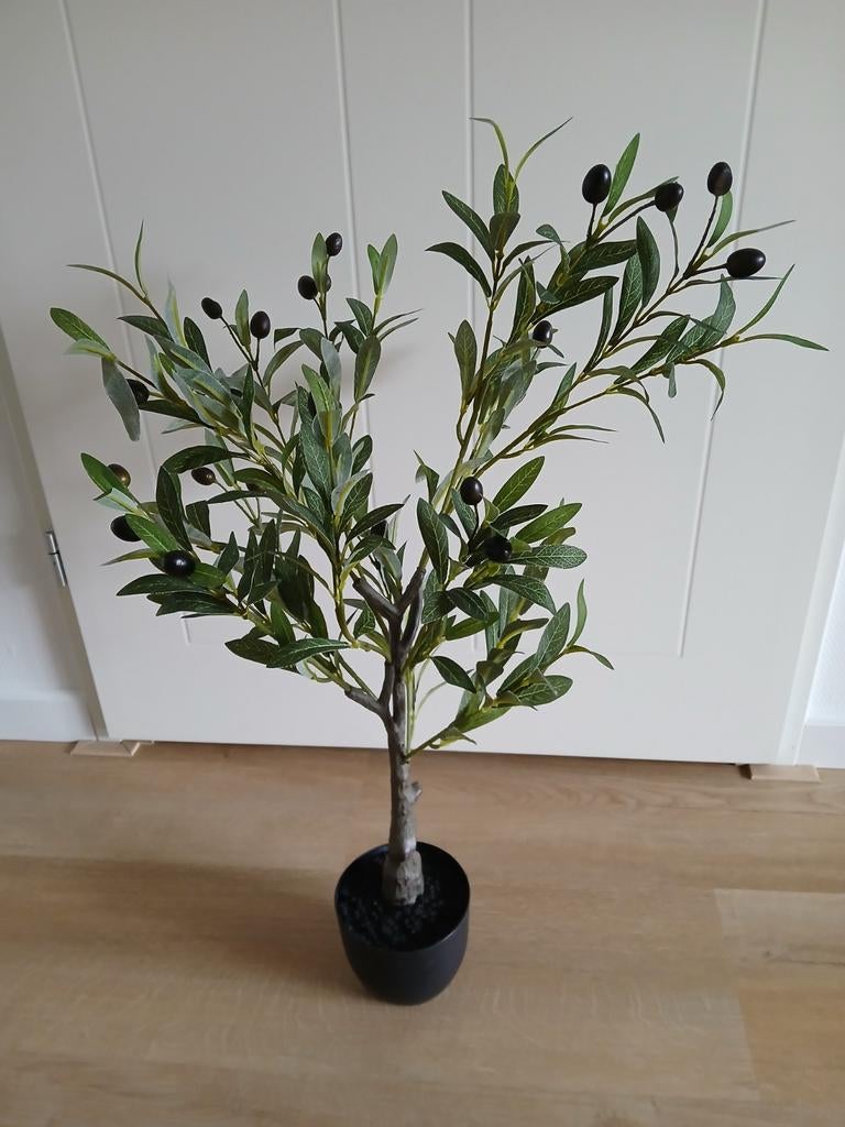 Kunst olijfboom in zwarte pot, Ophalen, Zo goed als nieuw, Kunstplant