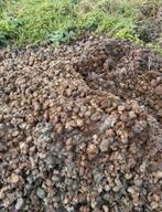 Gratis paardenmest ophalen in Culemborg, Ophalen, Tuinaarde