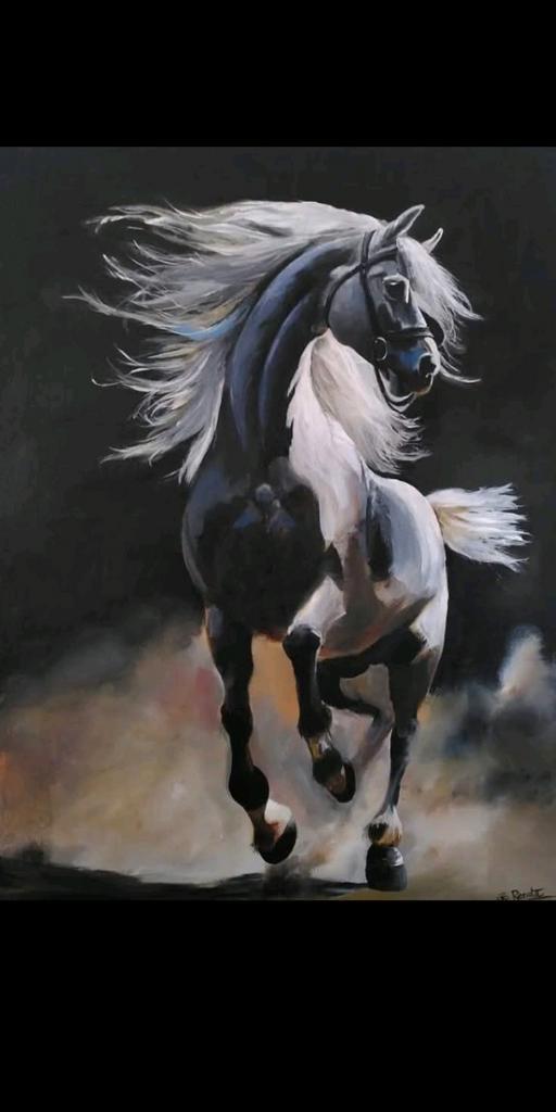 Schilderij: 'De ongetemde' schilderij van 60x80 cm, Antiek en Kunst, Kunst | Schilderijen | Modern, Ophalen of Verzenden