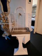 Bastaard man putter x kanarie incl zgan kooi + standaard, Dieren en Toebehoren, Ophalen of Verzenden, Zo goed als nieuw, Metaal