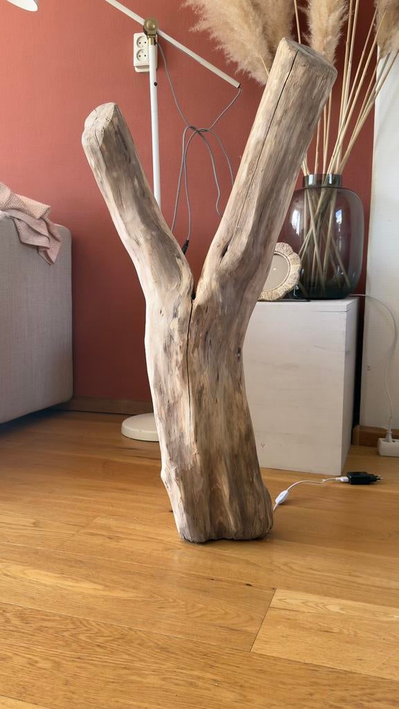 Bijzondere houten boomstam lamp / decoratieve staande lamp, Huis en Inrichting, Woonaccessoires | Zuilen en Pilaren, Ophalen of Verzenden