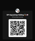 Koi veiling DP Aquashop, Karper of Koi