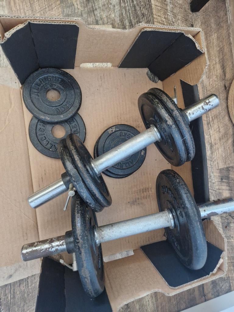 Gewichten voor thuisfitness - Halters, Ophalen