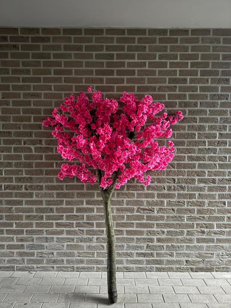 Bloesemboom, Huis en Inrichting, Woonaccessoires | Kunstplanten en Kunstbloemen, Ophalen, Zo goed als nieuw