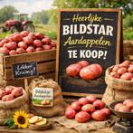 Heerlijke Bildstar Aardappelen te Koop!, Ophalen of Verzenden