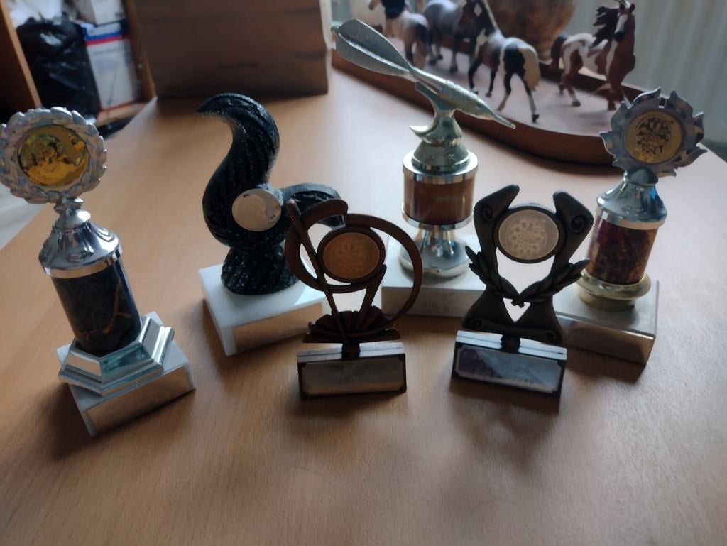 Dart prijsje, Ophalen of Verzenden, Overige typen