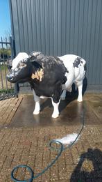 Stier beeld, Ophalen