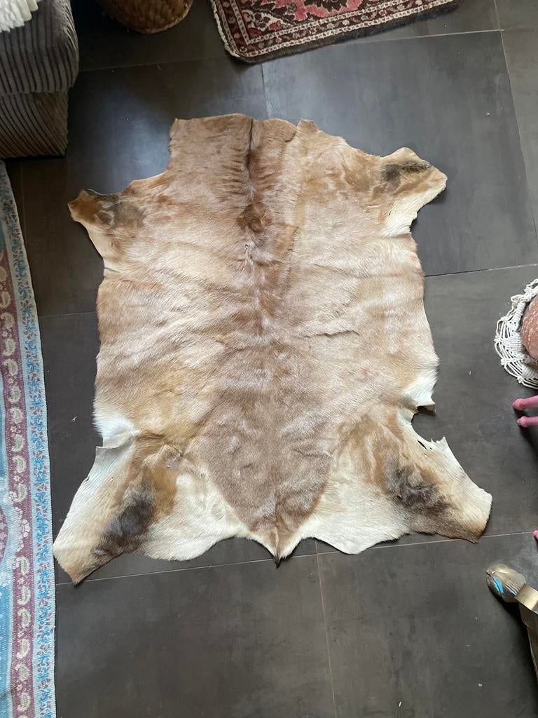 Prachtige geiten dierenhuid kleed leer Natuurlijke decoratie, Gebruikt, 100 tot 150 cm, Beige, Overige vormen