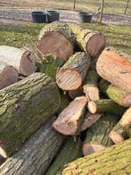 Vers gezaagd haardhout: Eik en Kers (25-30 cm), Minder dan 3 m³, Ophalen, Eikenhout, Blokken