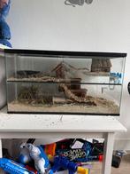 Kleine Knaagdieren terrarium, 75 tot 110 cm, Ophalen, Minder dan 60 cm, Hok
