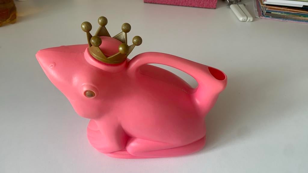 Roze Kikker Gieter met Kroon - Tuinplezier voor Kinderen, Ophalen of Verzenden, Zo goed als nieuw, Kunststof