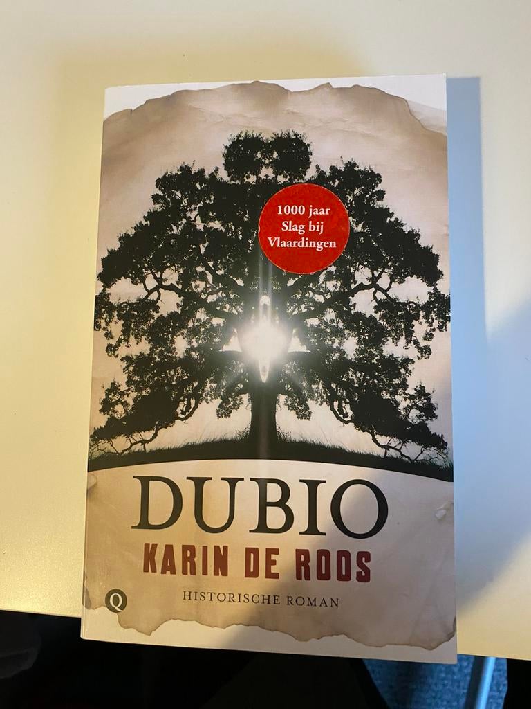 DUBIO-- Karin de Roos, Boeken, Historische romans, Zo goed als nieuw, Ophalen of Verzenden