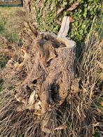 Haardhout zelf zagen en geheel afvoeren, 6 m³ of meer, Ophalen, Overige houtsoorten, Stammen