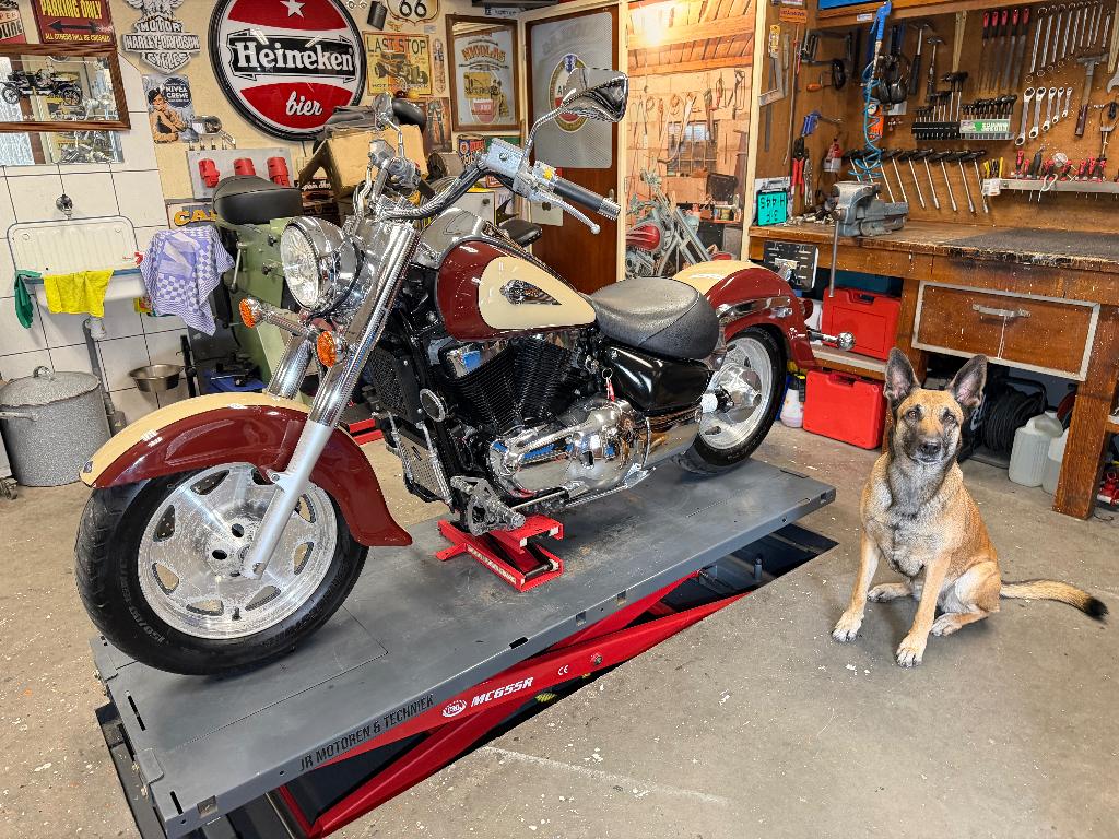 Suzuki Intruder 1500, Motoren, Motoren | Suzuki, Cardan-aandrijving, 2 cilinders, Occasion, Chopper