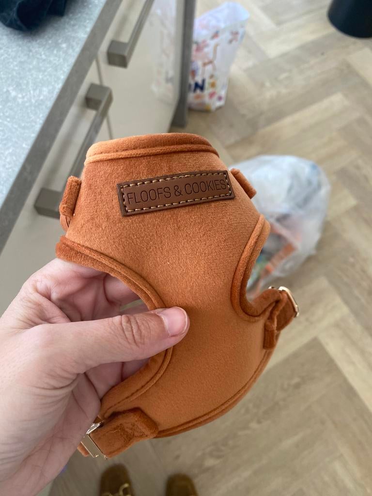 Hondentuigje voor pup of kleine hond, Dieren en Toebehoren, Ophalen of Verzenden, Nieuw