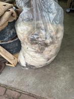 Schapen wol te koop, Dieren en Toebehoren, Vrouwelijk, Schaap