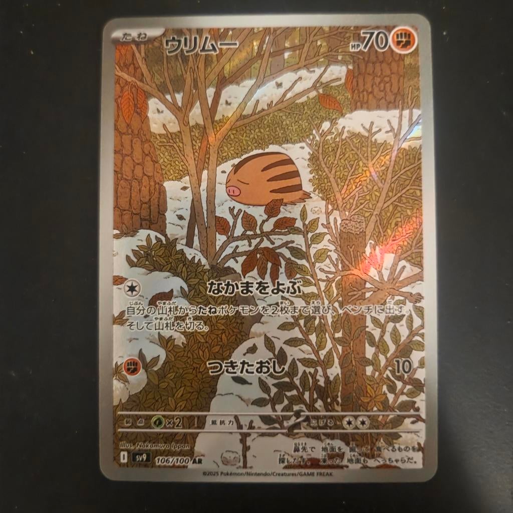 Swinub106/100 japans, Ophalen of Verzenden