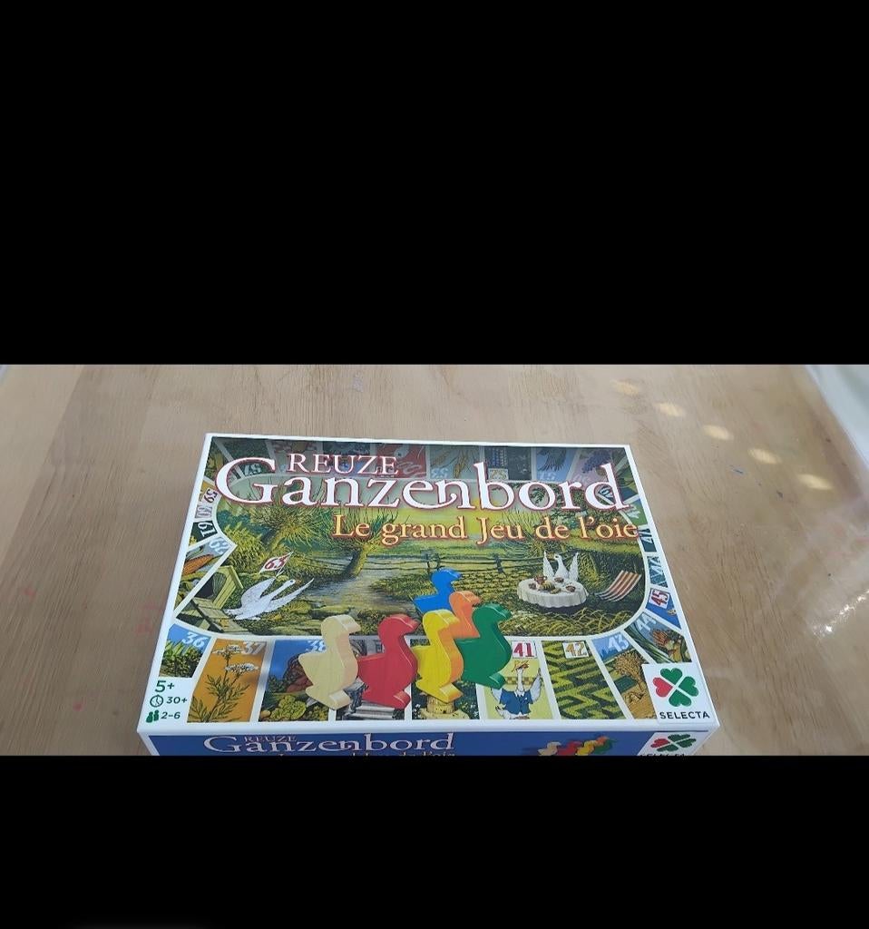 Leuke grote reuze ganzenbord., Vijf spelers of meer, Ophalen, Zo goed als nieuw