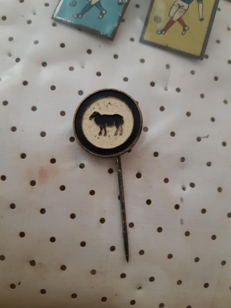 Speldje Zwarte schapen, Verzamelen, Speldjes, Pins en Buttons, Ophalen of Verzenden, Nieuw, Sport, Speldje of Pin