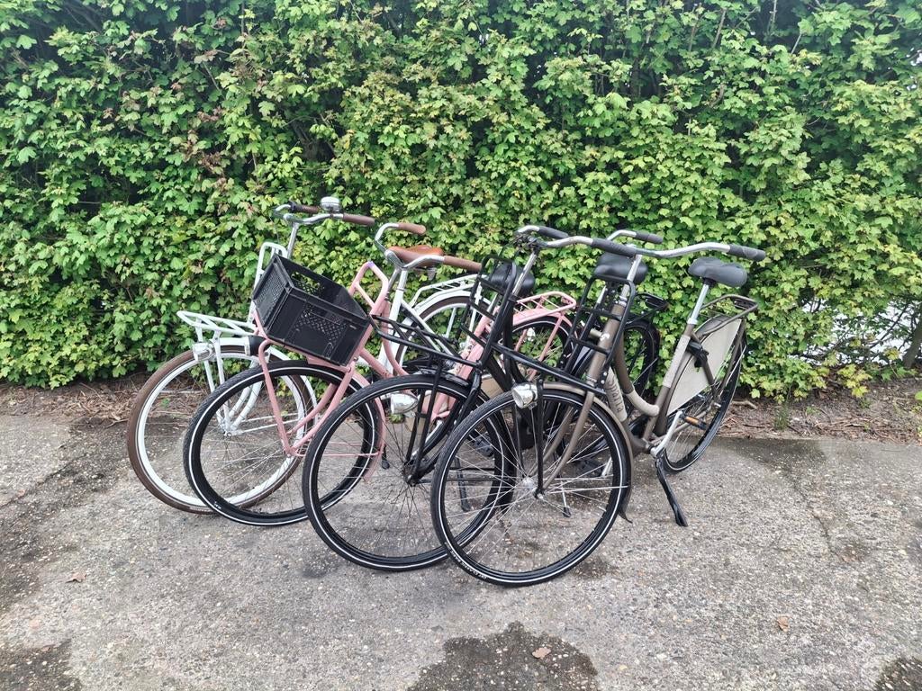 Omafietsen v.a95.00, 53 tot 56 cm, Ophalen, Zo goed als nieuw