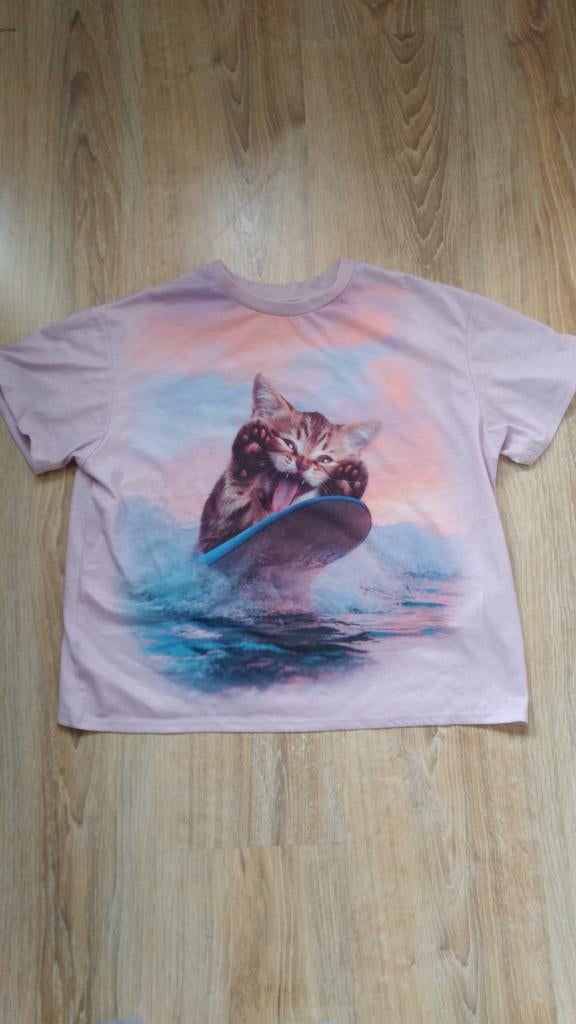 Zgan T shirt kat maat 164, Meisje, H&M, Ophalen of Verzenden, Zo goed als nieuw