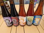 100 Watt Brouwerij Speciaalbier Collectie - Diverse Smaken, Verzamelen, Ophalen of Verzenden, Nieuw, Flesje(s), Overige merken