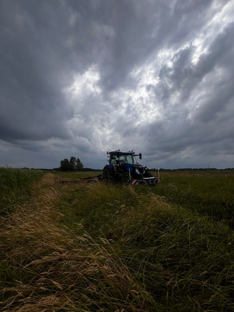Gras op stam GEZOCHT!!, Dieren en Toebehoren, Dierenvoeding, Ophalen of Verzenden